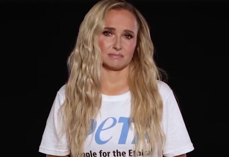 Hayden Panettiere PETA Campaign Released After Her Death